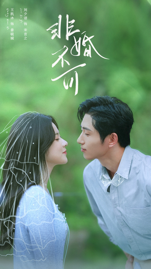 非婚不可（65集）独家内容免费看