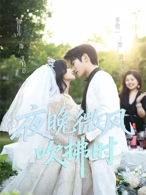 夜晚微风吹拂时（61集）免费短剧推荐