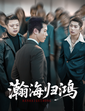 瀚海归鸿(74集) 瀚海归鸿(74集)短剧越看越精彩