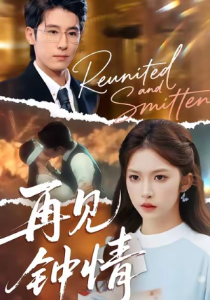 再见钟情(100集) 再见钟情(100集)全集一网打尽