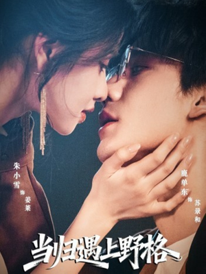 当归遇上野格(66集) 当归遇上野格(66集)最新热门短剧