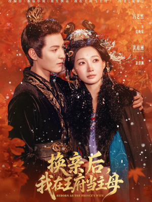 换亲后,我在王府当主母(80集) 换亲后,我在王府当主母(80集)在线看完整版