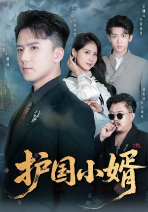 护国小婿(60集) 护国小婿(60集)熬夜追短剧