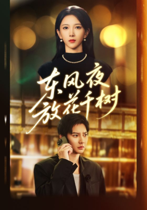 东风夜放花千树(91集) 东风夜放花千树(91集)观看软件
