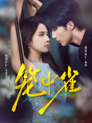 笼中雀(65集) 笼中雀(65集)1-102集