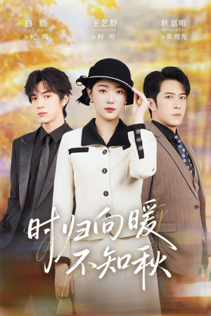 时归向暖不知秋（51集）热门短剧又来了