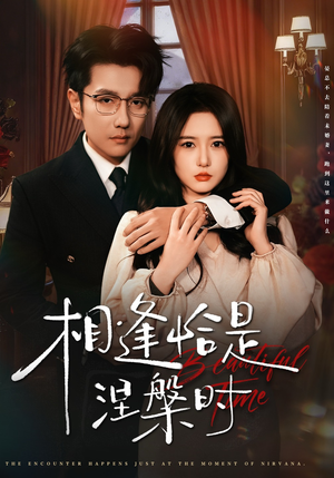相逢恰是涅槃时（63集）每天分享短剧