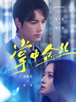 长姐她竟是隐藏大佬(60集) 长姐她竟是隐藏大佬(60集)一起追短剧