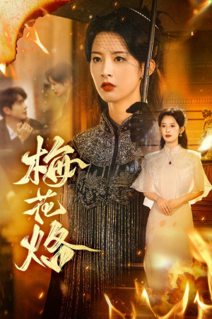 梅花烙(61集) 梅花烙(61集)流畅播放免费看
