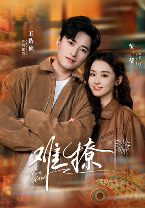 难撩（100集）一共多少集