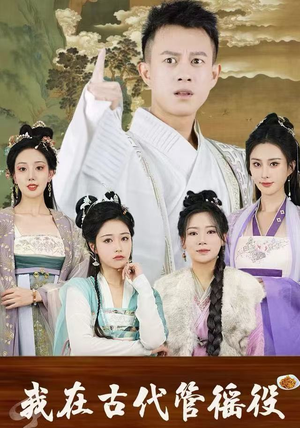 假官真坐（95集）精彩连连免费看