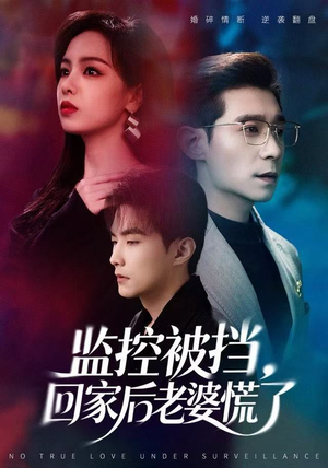 监控被挡，回家后老婆慌了（60集）短剧在哪里看