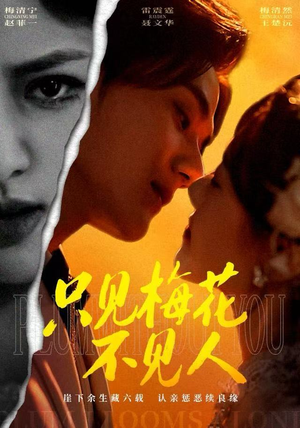 只见梅花不见人（63集）免费看全集