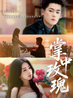 掌中玫瑰（60集）在哪个app能看