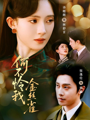 何不怜我金丝雀（60集）一口气看完