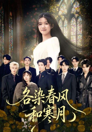 尘埃里的真千金（67集）爆火短剧抢先看