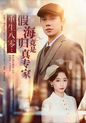 重生八零：假海归竟是真专家（65集）免费观看全集