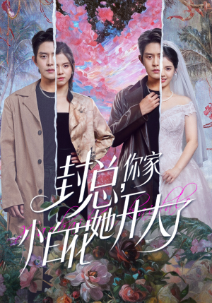 大佬你的牙粘口红了（60集）精彩短剧分享。