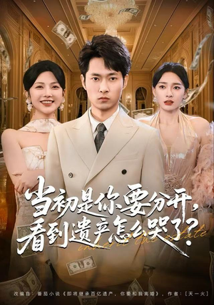 当初是你要分开，看到遗产怎么哭了？（70集）第一集