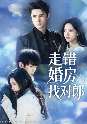 走错婚房找对郎（50集）热门短剧抢先