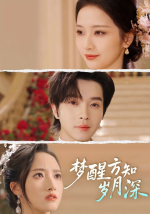 梦醒时你在我身侧(80集) 梦醒时你在我身侧(80集)免费版