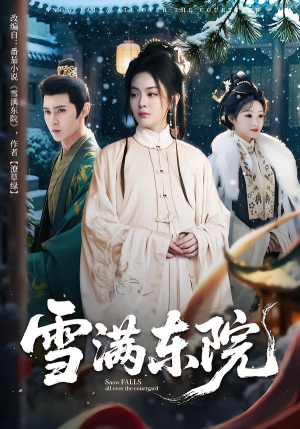 雪满东院（60集）热门短剧追不停