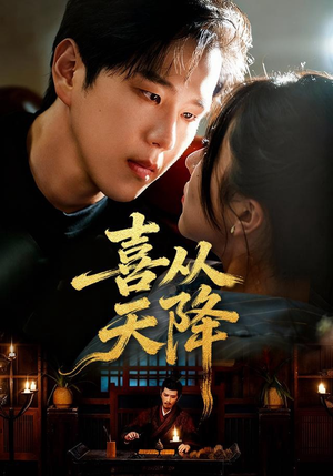 喜从天降(50集) 喜从天降(50集)免费在线看全集
