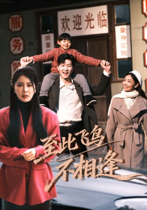 至此飞鸟不相逢（70集）民国短剧推荐