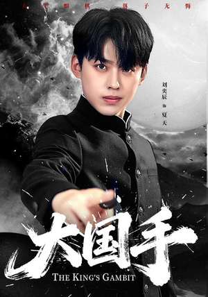 大国手（76集）最新热播短剧