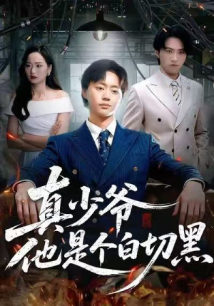 真少爷他是个白切黑(75集) 真少爷他是个白切黑(75集)好短剧分享