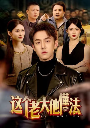 这个老大他懂法（100集）全部免费看全集