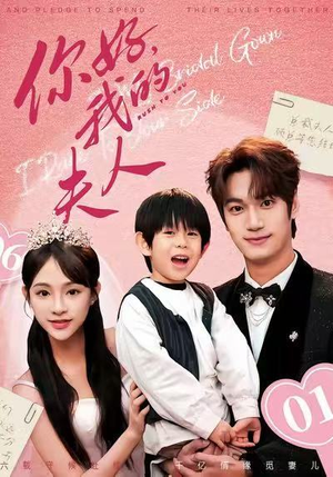 你好，我的夫人（65集）在哪看