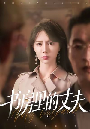 书房里的丈夫（100集）精彩短剧上线