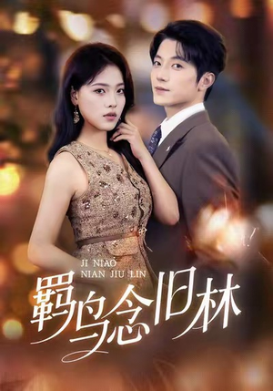 羁鸟念旧林（60集）火爆短剧抢先看