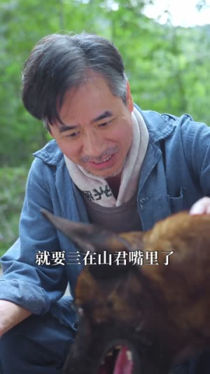 别惹我的狗（40集）短剧视频分享