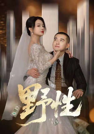 分手后，顶头上司要嫁我（70集）爆火短剧追不停