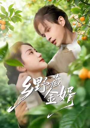 乡野藏金婿（50集）免费观看就是爽