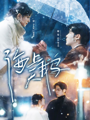 海上天鹅（70集）观看软件