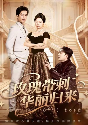 婚前测试他不配（83集）正能量短剧分享