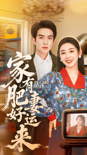 家有肥妻好运来（100集）演的怎么样