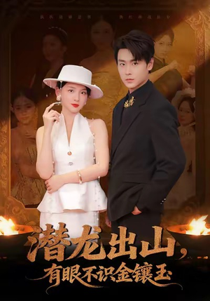 潜龙出山有眼不识金镶玉（78集）第一季