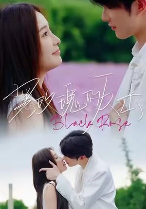 黑玫瑰的反击（47集）全剧免费观看