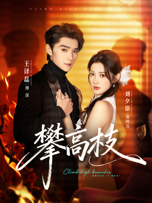 攀高枝（70集）在哪里看