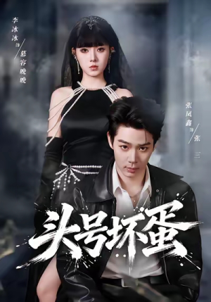 头号坏蛋（58集）评价怎么样