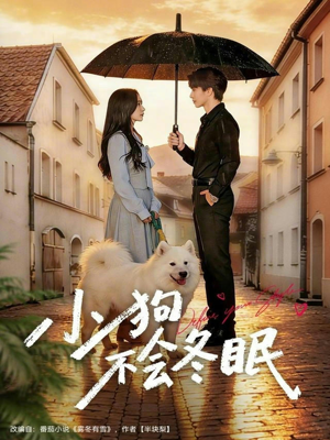 小狗不会冬眠（70集）热门短剧免费看