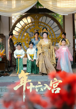 年十六入宫（34集）更新时间