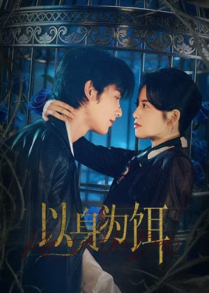 以身为饵（61集）甜宠短剧推荐