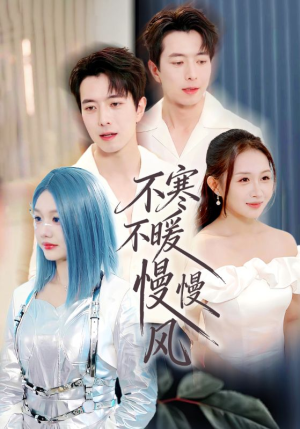 不寒不暖慢慢风（70集）热门短剧大全