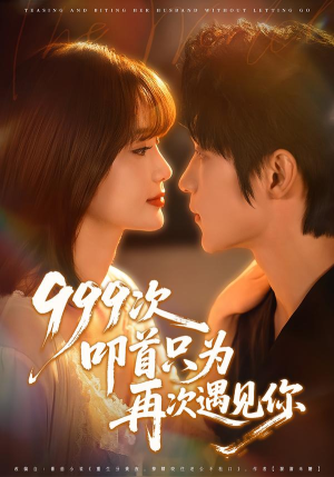 999次叩首只为再次遇见你（80集）UC网盘在线看