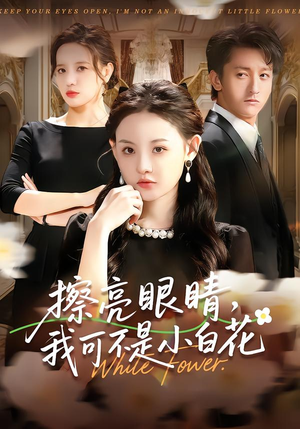 擦亮眼睛，我可不是小白花（60集）在线看